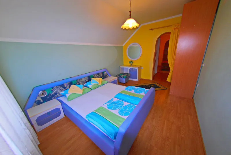 partmani nikolic orange tropic