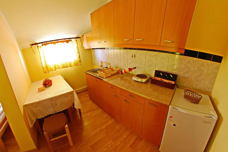partmani nikolic orange tropic