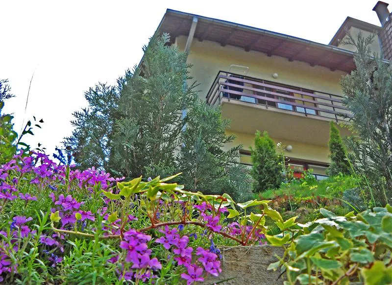 Apartmani PLAVŠIĆ 1