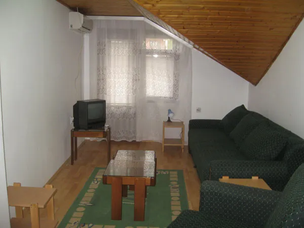 Sokobanja studio Biba 2