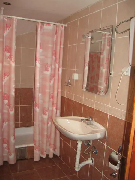 Sokobanja studio Biba 2