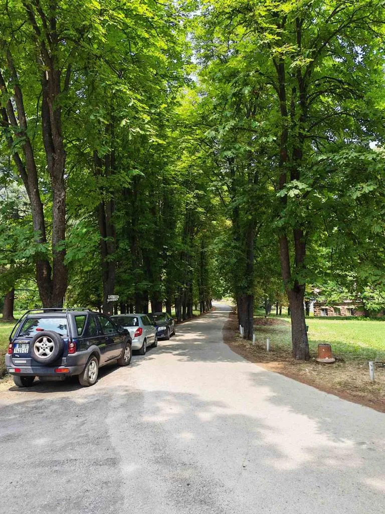 viber_slika_2026-02-11_09-35-56-100-768x1024