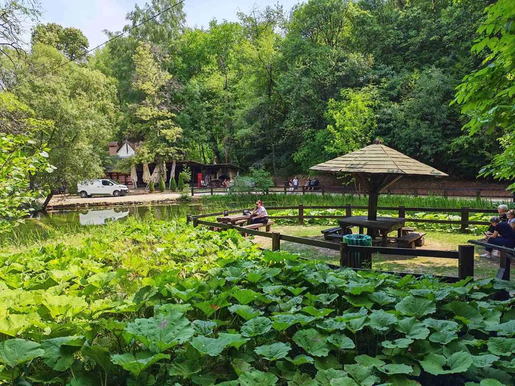 viber_slika_2026-02-11_09-36-17-714-1024x768