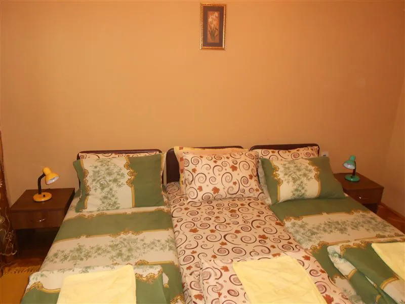Smeštaj Olja i Zoka Sokobanja apartman KIVI