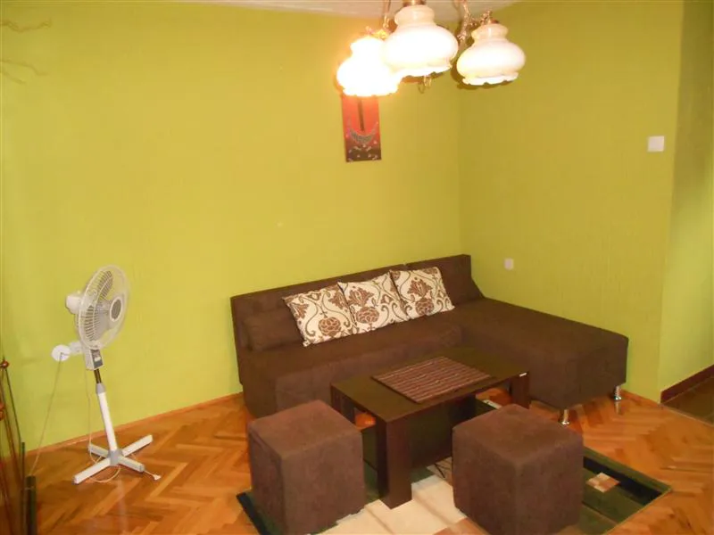 Smeštaj Olja i Zoka Sokobanja apartman KIVI