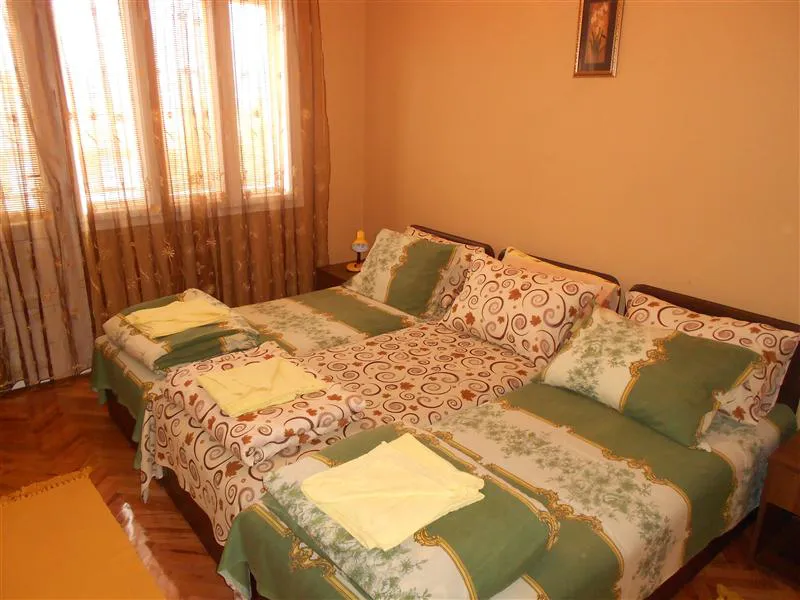 Smeštaj Olja i Zoka Sokobanja apartman KIVI