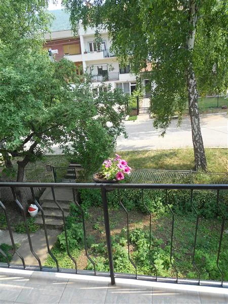 Smeštaj Olja i Zoka Sokobanja apartman KIVI