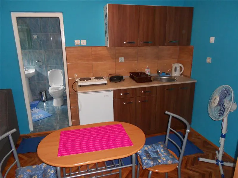 Smeštaj Olja i Zoka Sokobanja studio pink