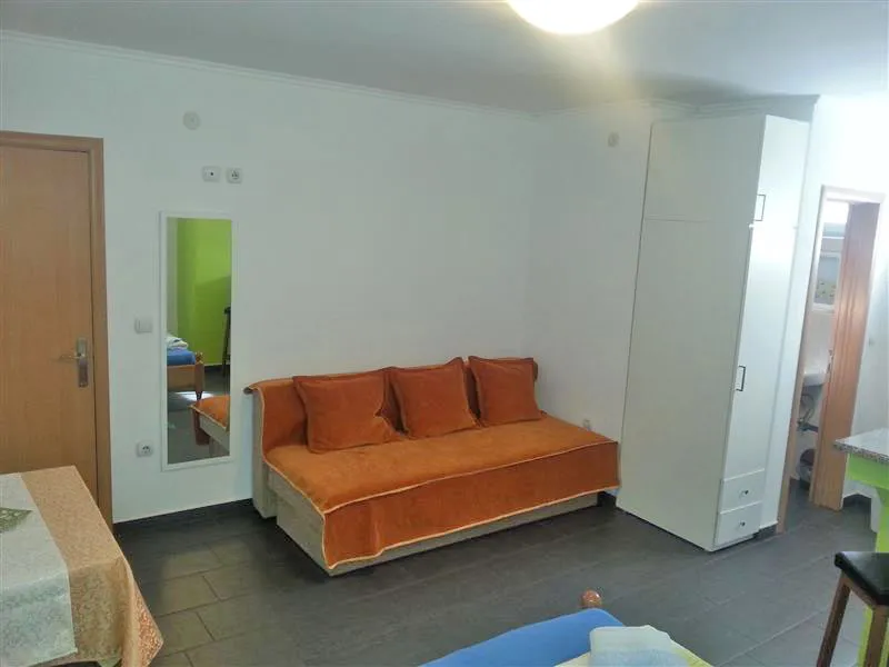 studio 8 u vili aleksandra Sokobanja