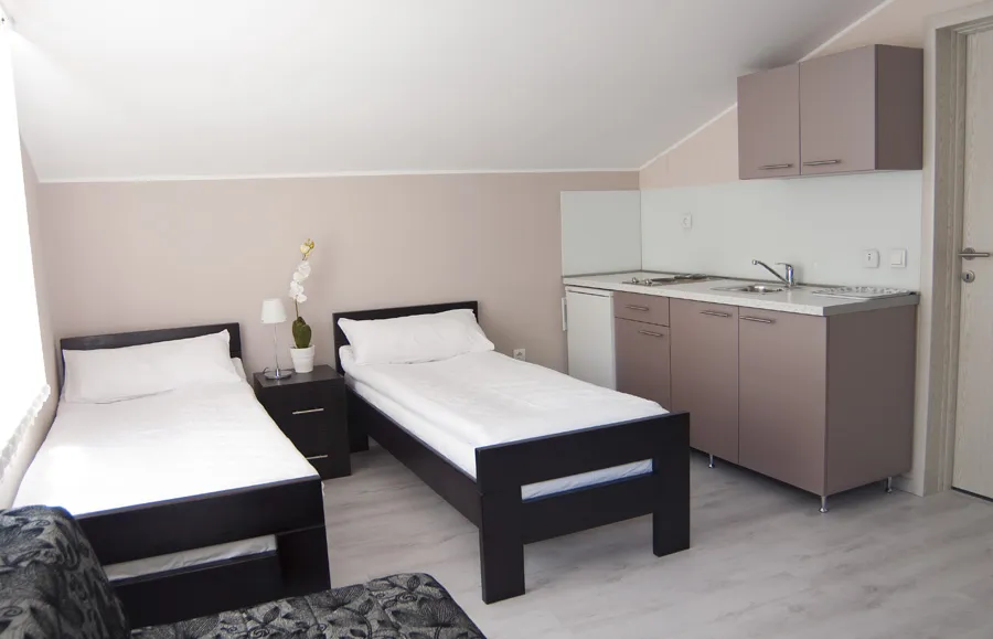 Studio 1 vila Živković Sokobanja