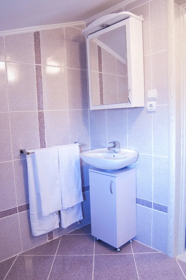 Studio 2 vila Živković