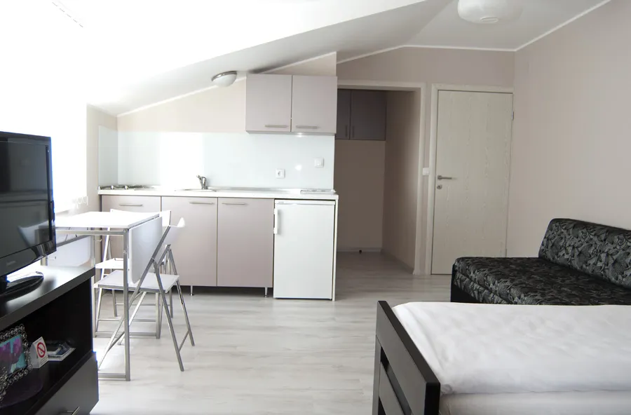 Studio 2 vila Živković