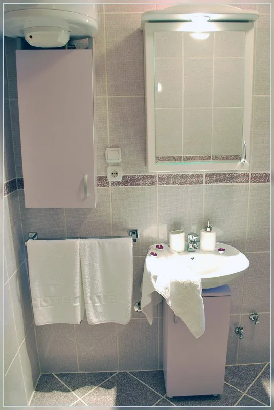 Studio 3 vila Živković Sokobanja