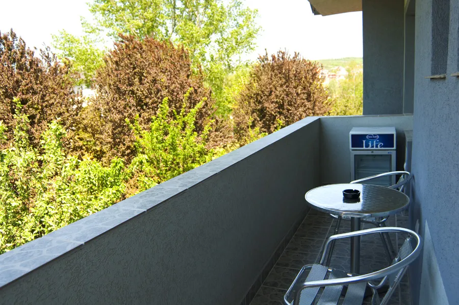 Studio 3 vila Živković Sokobanja