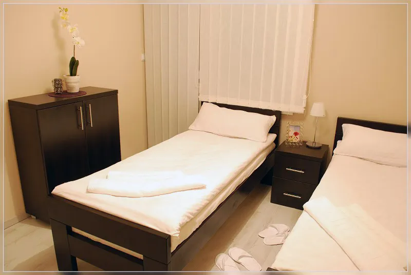 Studio 3 vila Živković Sokobanja