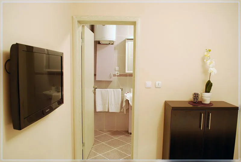 Studio 3 vila Živković Sokobanja