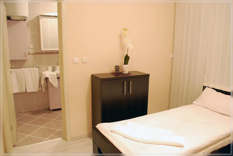 Studio 3 vila Živković Sokobanja