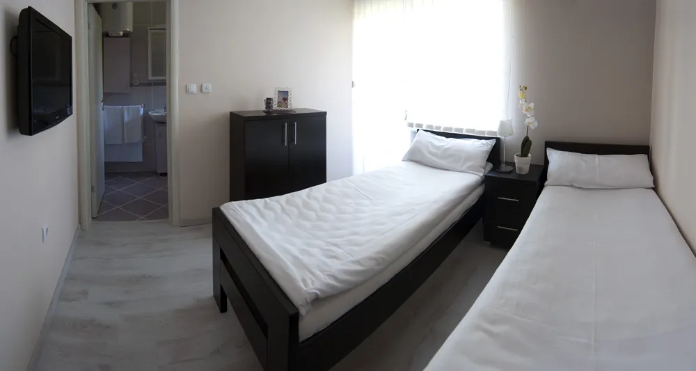 Studio 3 vila Živković Sokobanja