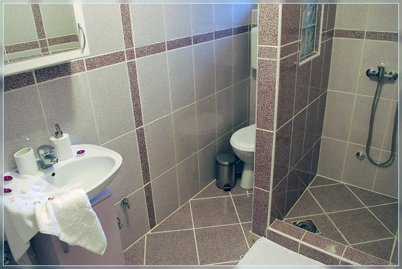 Studio 3 vila Živković Sokobanja