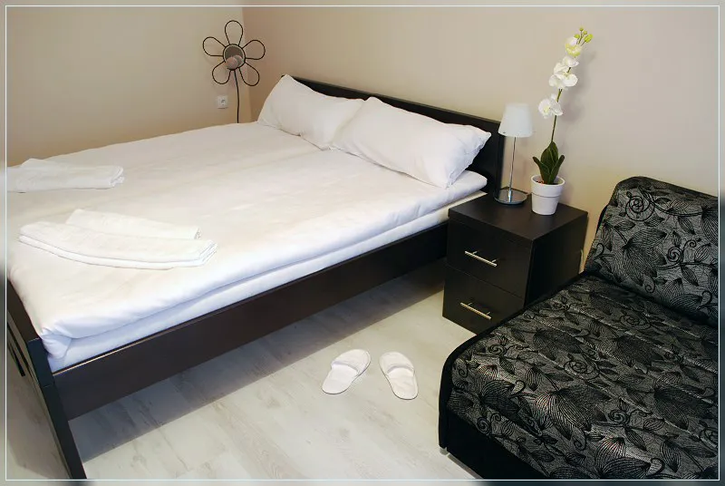 Studio 4 vila Živković