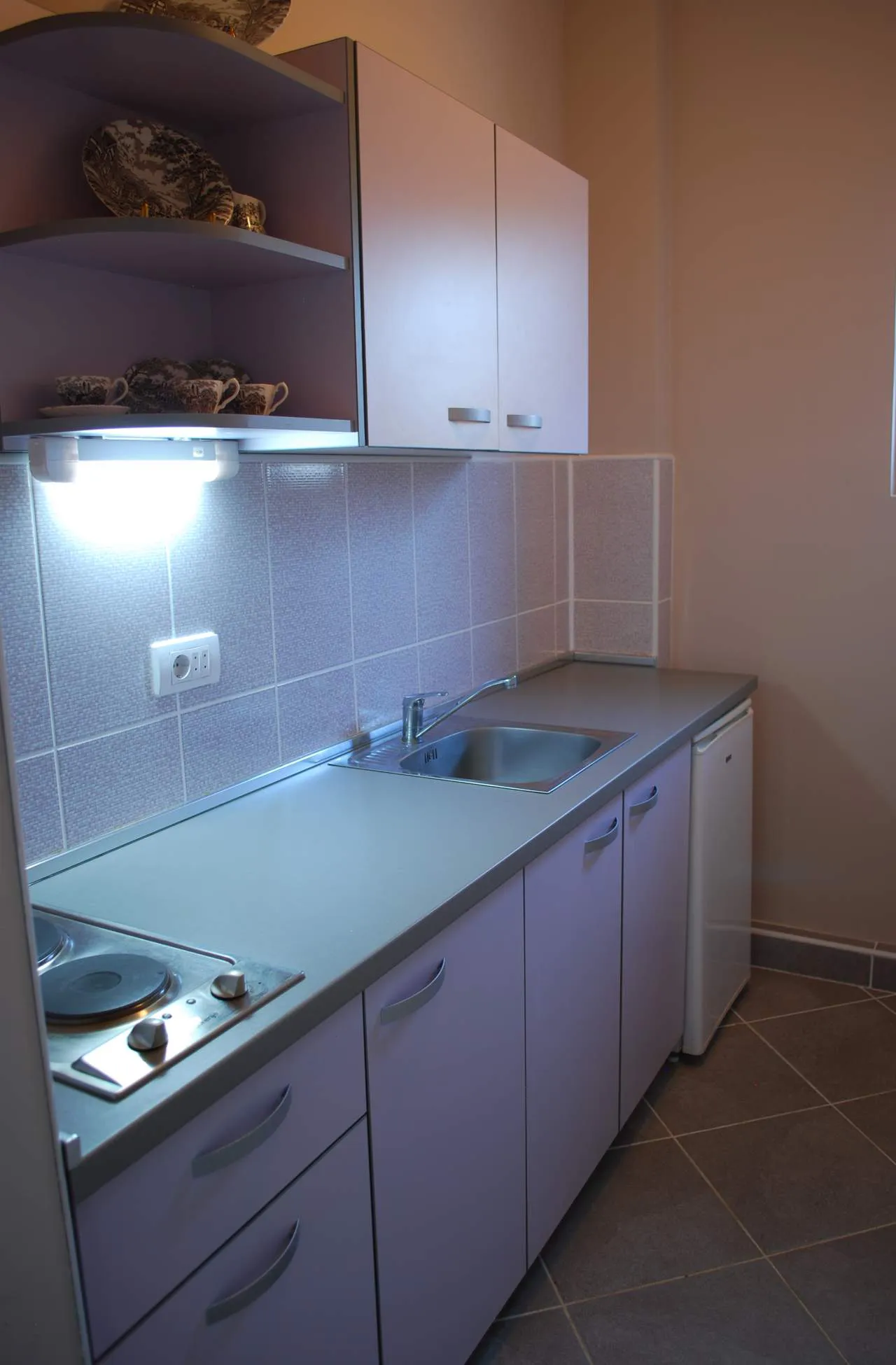 Apartman 5 vila Živković