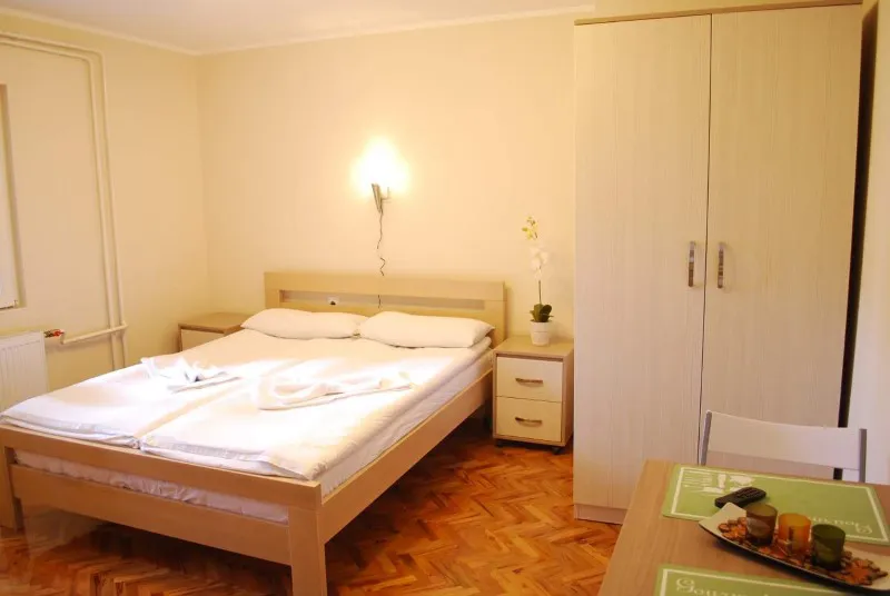 Apartman 7 vila Živković