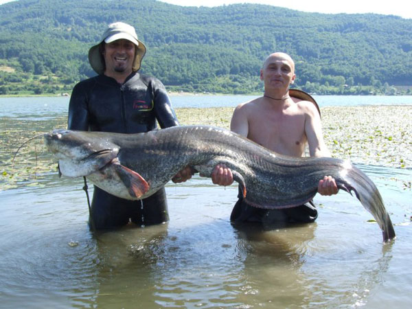 Živul i Nebojša bovansko jezero