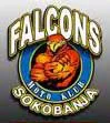 falcons sokobanja