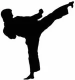 Bronza na Evropskom prvenstvu u karateu - Vesti TV Sokobanja