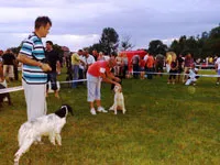 Izložba pasa / 27.07.2012.