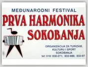 Prva harmonika polufinale Sokobanja 2011.godine - Vesti TV Soko