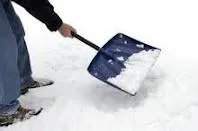 Radna akcija - čišćenje snega oko školskih zgrada - Vesti TV Sokobanja
