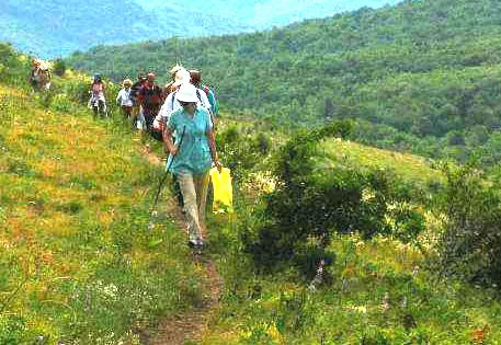 Sokobanja je raj za ljubitelje pešačenja i dugih šetnji